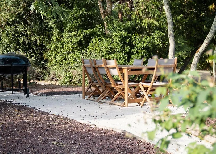 Du Chateau De Panisseau Thénac